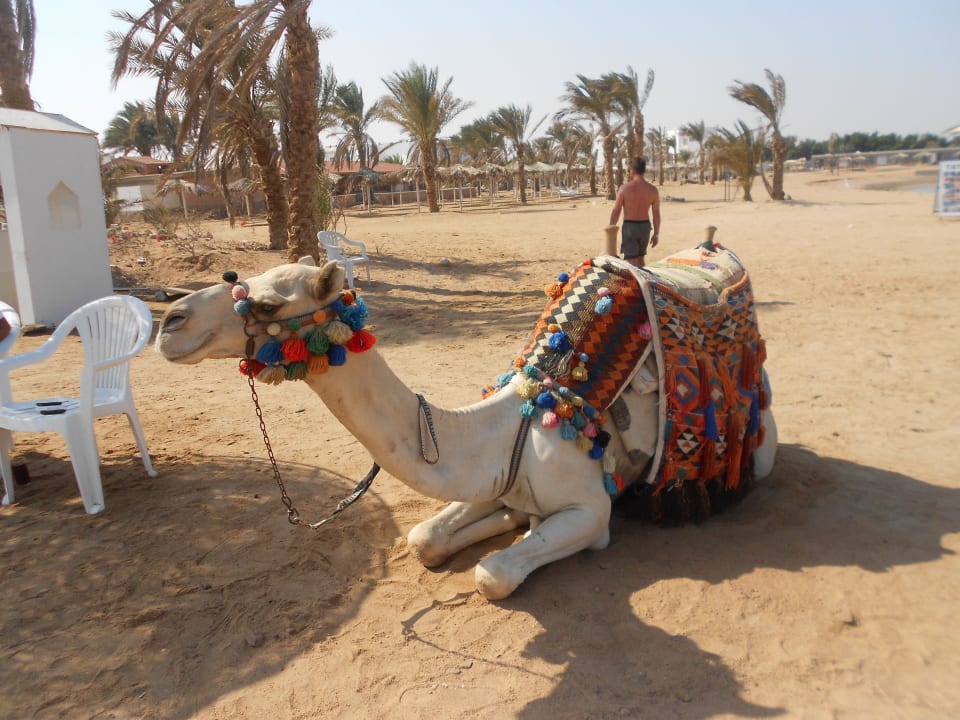 Strand JAZ Aquamarine Resort