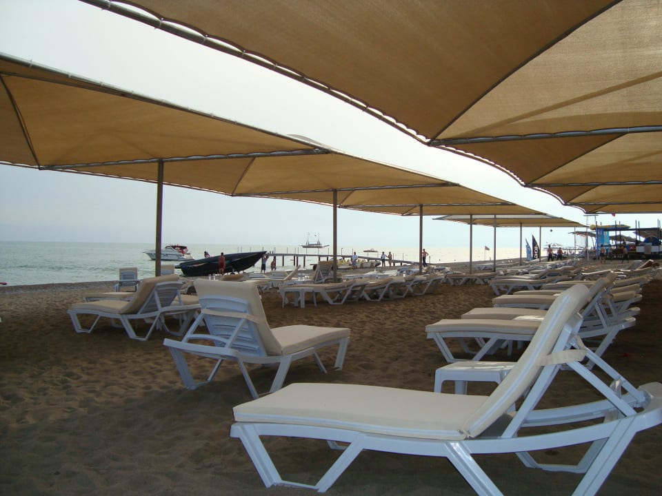 Liegestühle Armas Life Belek
