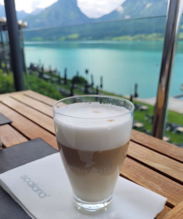 Gastro Scalaria Sunset Wing