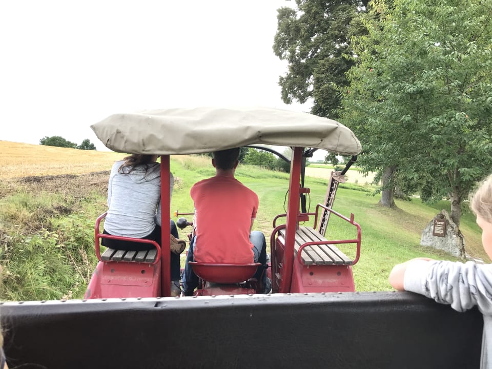 Sport & Freizeit Fränkischer Ferienhof Joas