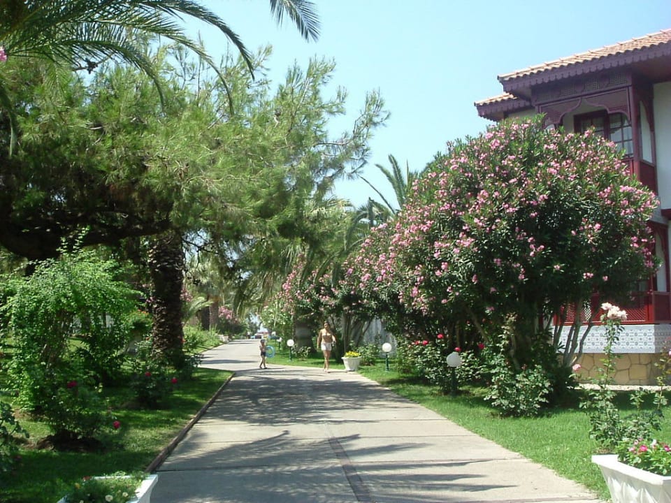 Der Weg zum Strand Ali Bey Club
