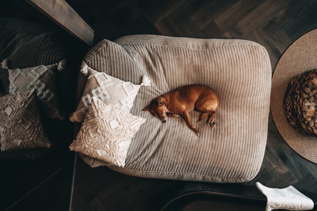 Sonstiges Jufenalm BOHO Hotel & Restaurant