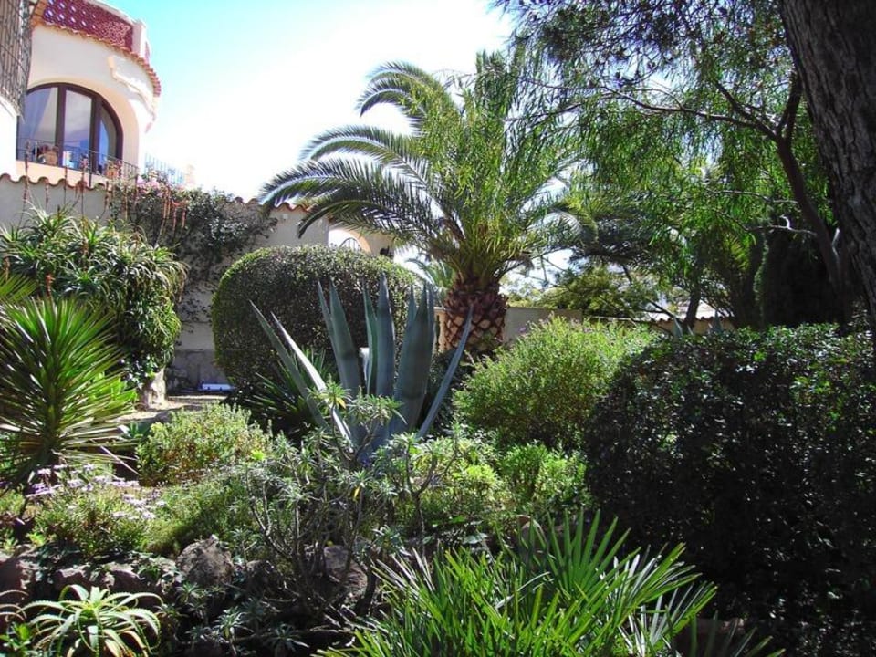 Mediterrane Bepflanzung El Refugio Villa Rosa