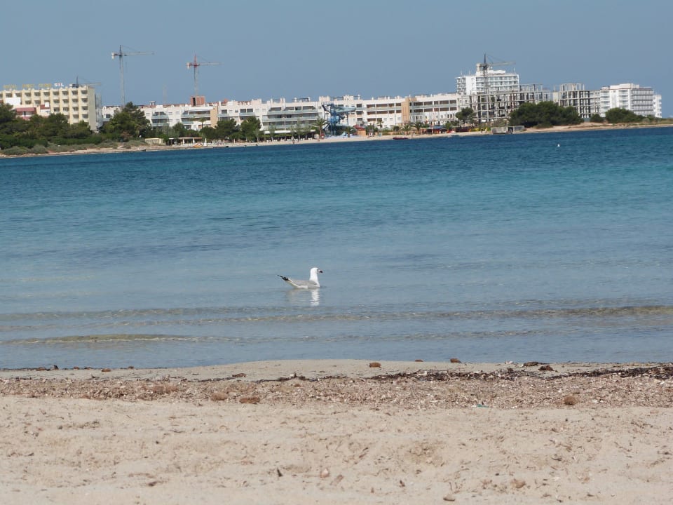 Blick vom Strand auf´s Meer Hotel Osiris
