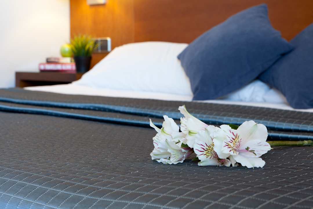 Zimmer Porcel Avant