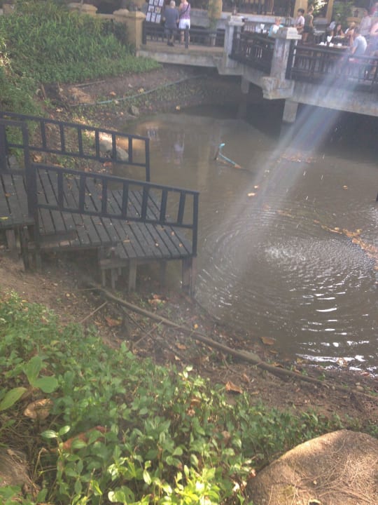 Teich unter der Restaurantterrasse Moracea by Khao Lak Resort