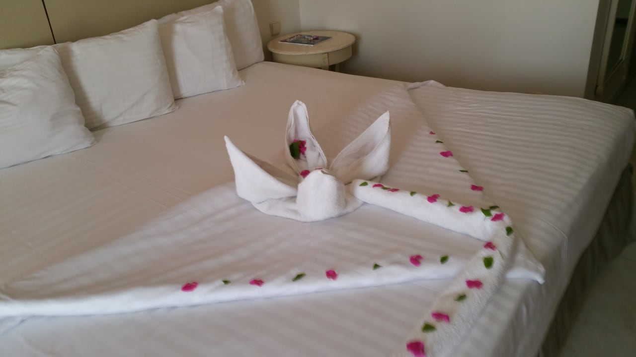 Zimmer Concorde El Salam Hotel Sharm el Sheikh by Royal Tulip