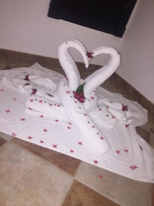 Zimmer Hotel Riu Palace Punta Cana