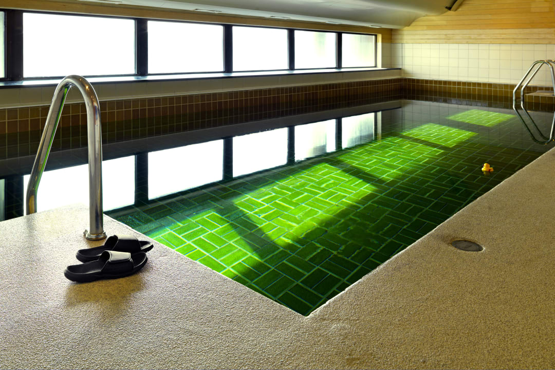 Pool Scandic Hotel Europa