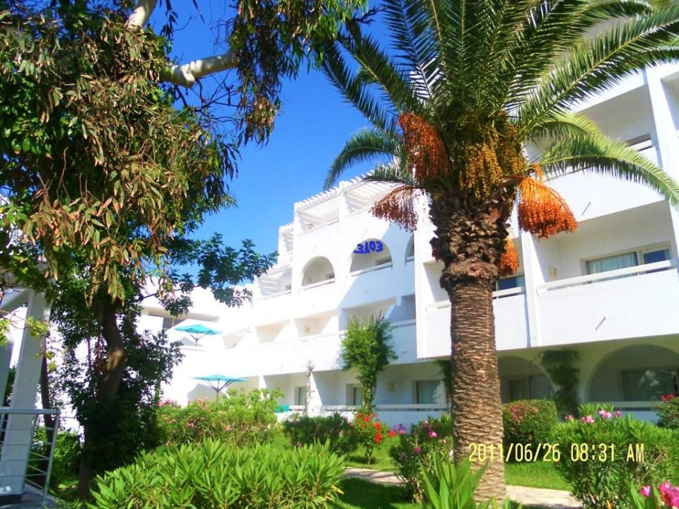 Hotel von Gartenseite The Orangers Beach Resort and Bungalows