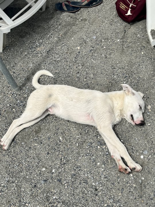 Strand Labranda Alantur Resort