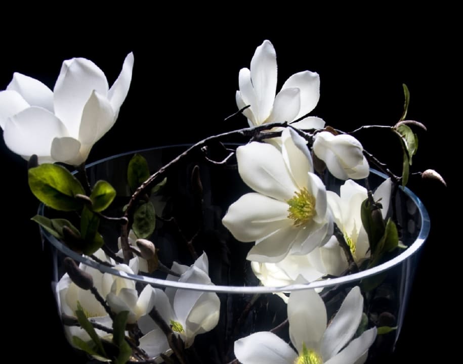 Lobby Hotel Kreuzlingen Am Hafen