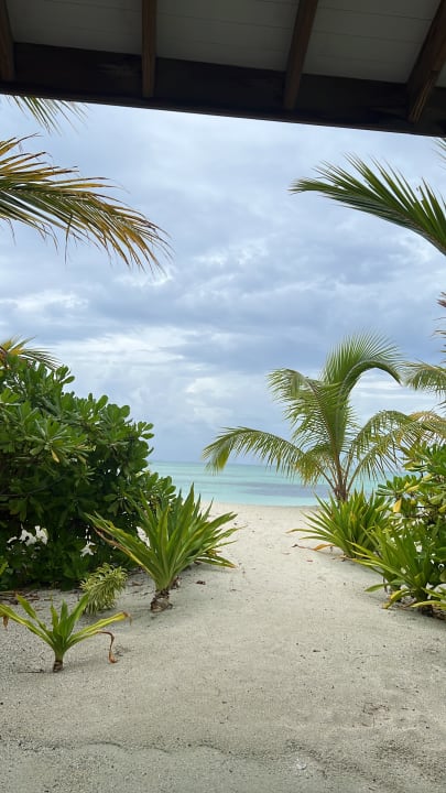 Ausblick South Palm Resort Maldives