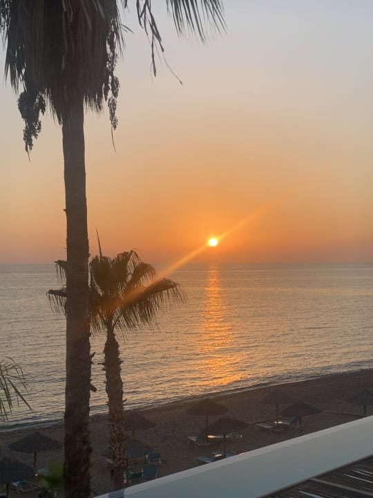 Ausblick Flora Garden Beach Hotel ( 16+ Adults Only )