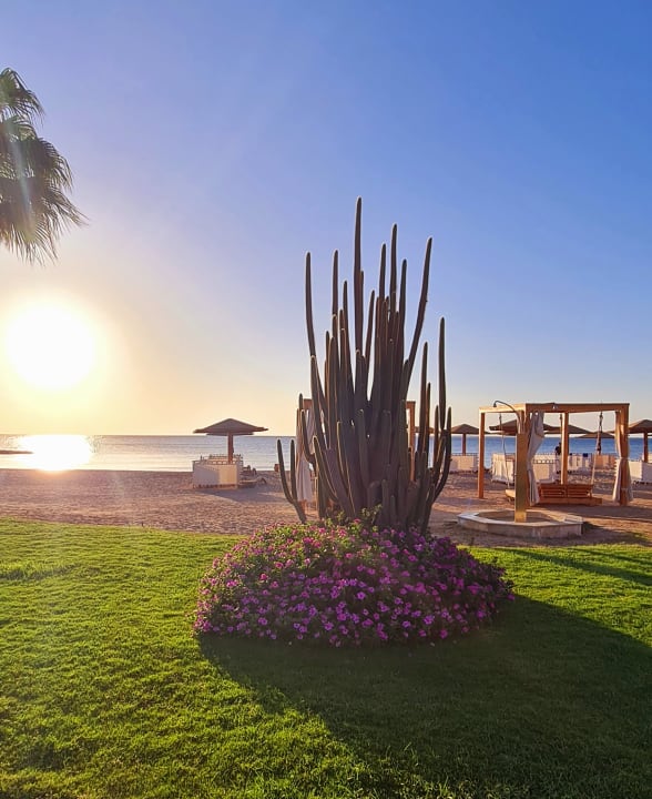 Gartenanlage Shams Prestige Abu Soma-Adults Only