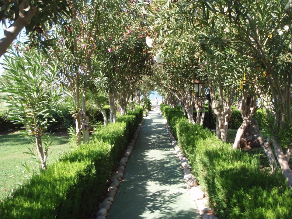 Weg zum Strand Iz Flower Side Beach Hotel