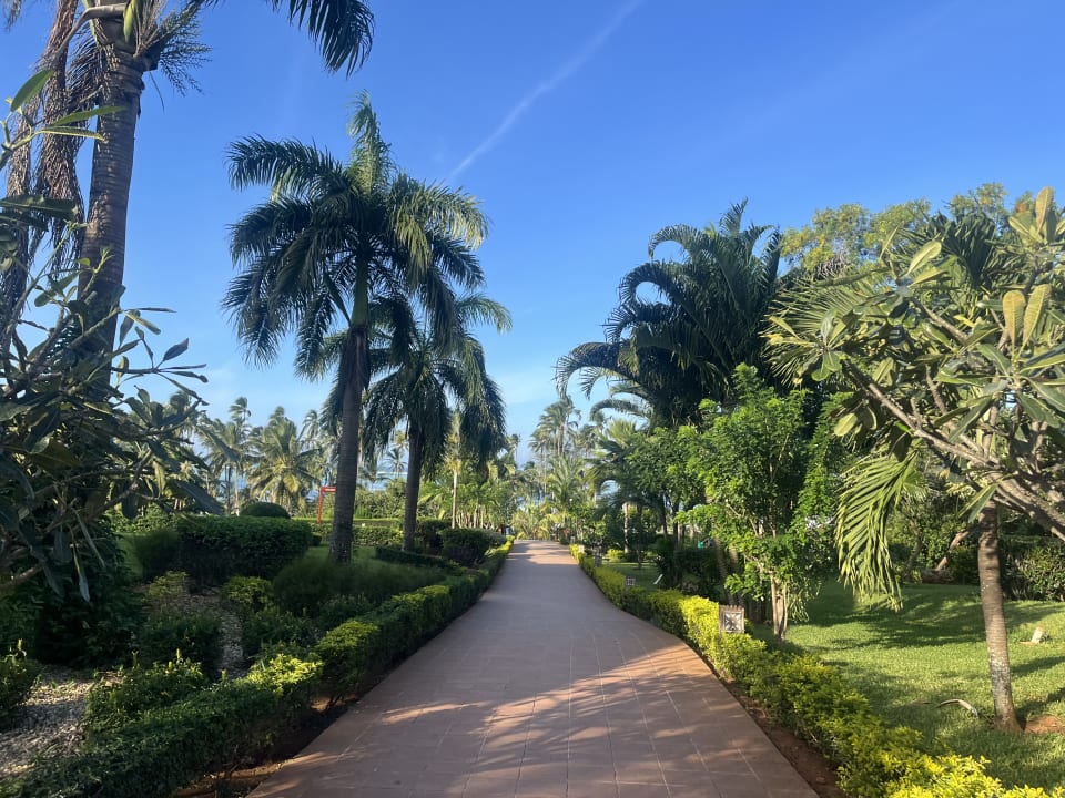 Gartenanlage TUI Blue Bahari Zanzibar