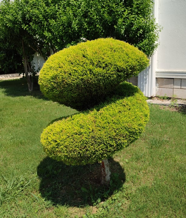 Gartenanlage Labranda Lebedos Princess