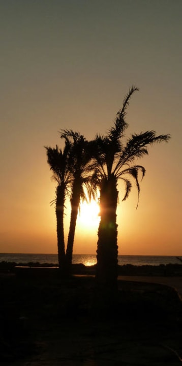 Sonnenaufgang Lahami Bay Beach Resort