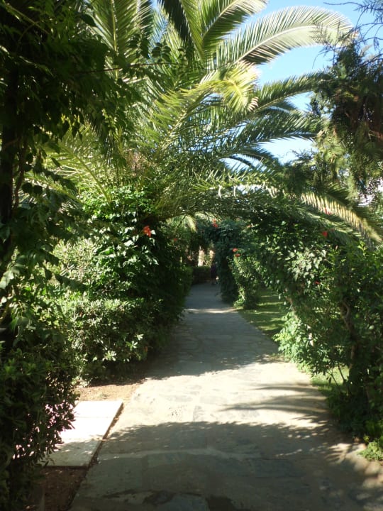 Gartenanlage Apollonia Beach Resort & Spa