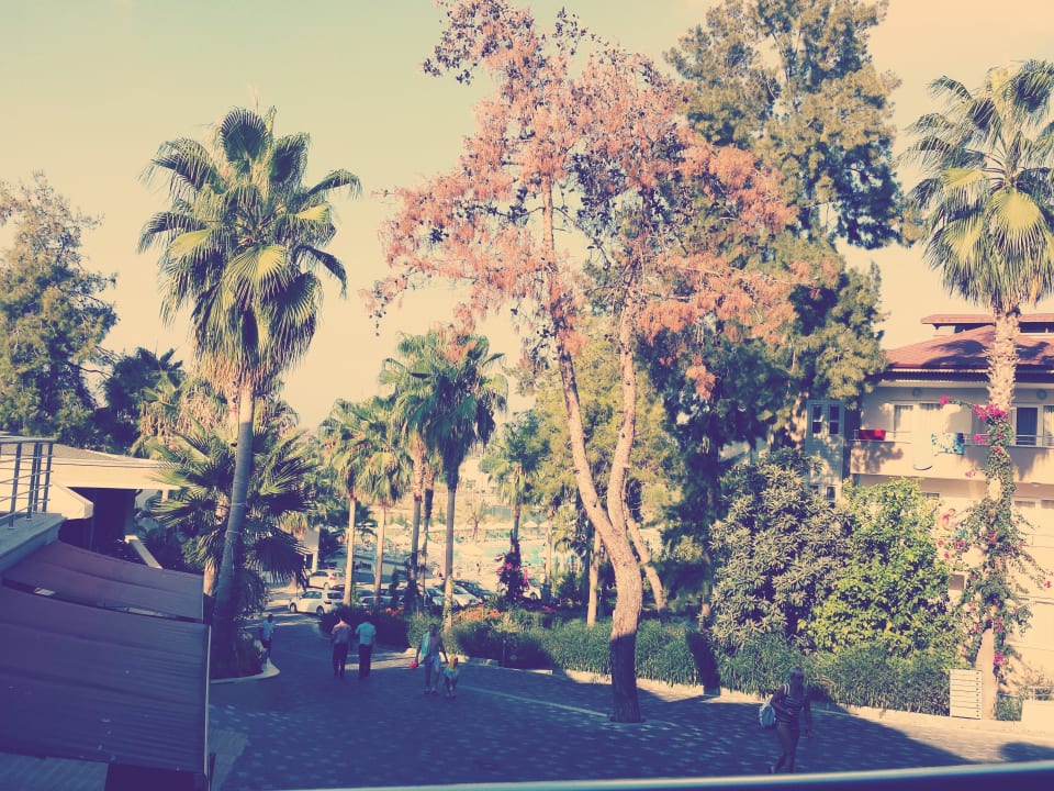 Garten Club Sidelya Hotel
