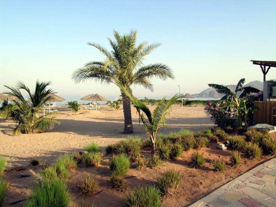 In der Hotelanlage Hotel Le Meridien Al Aqah Beach Resort