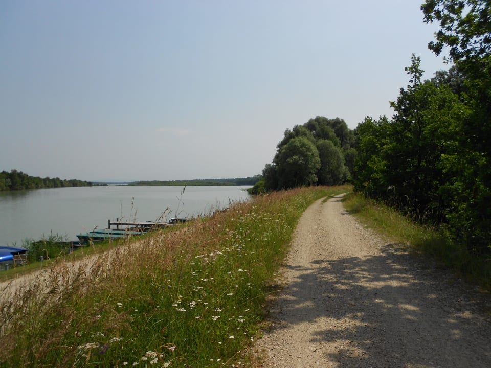 Spazier- & Radweg direkt vor der Tür am Inn 2012 Pension Salzingerhof