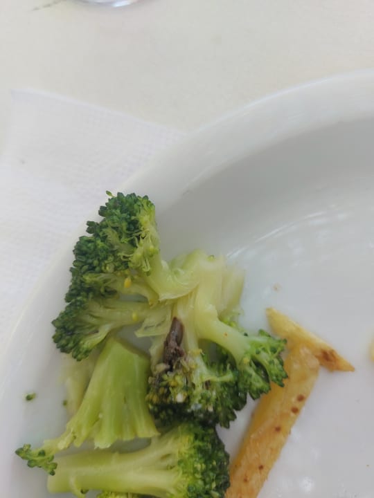 Gastro Mahdia Beach & Aquapark