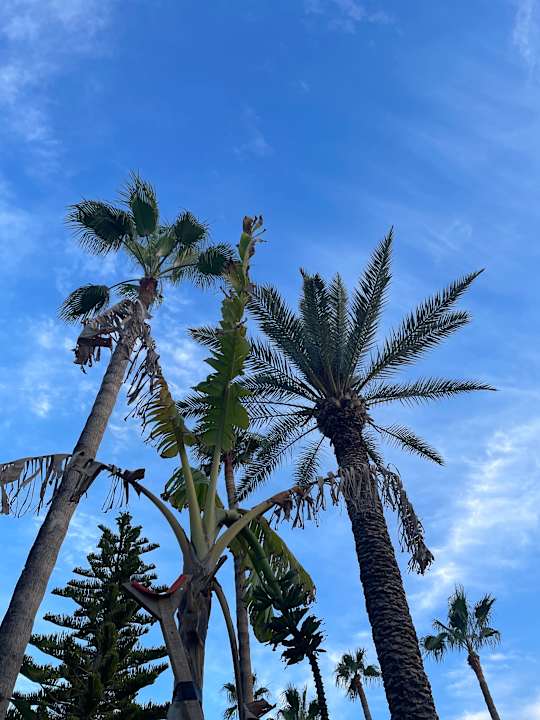Gartenanlage Yalihan Aspendos