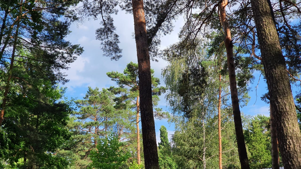 Sonstiges Familienpark Senftenberger See