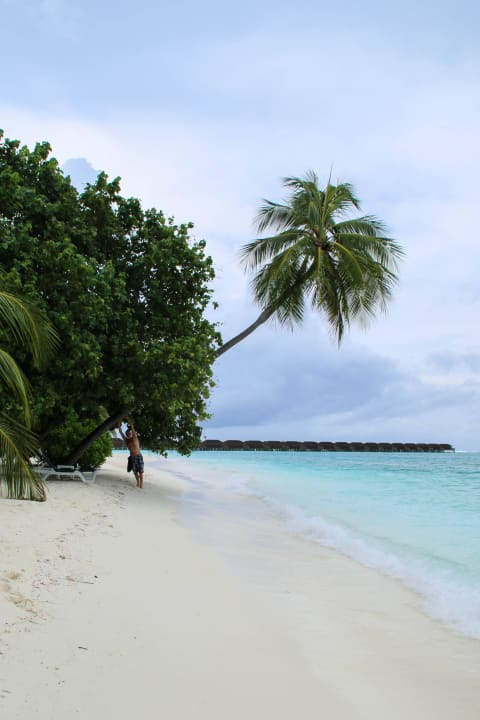 Strand auf der Ostseite Meeru Maldives Resort Island