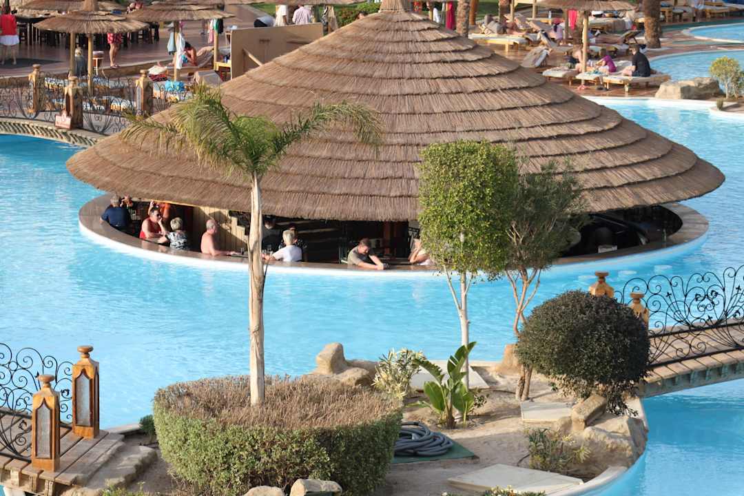 Poolbar von Zimmer aus Pickalbatros Palace Resort