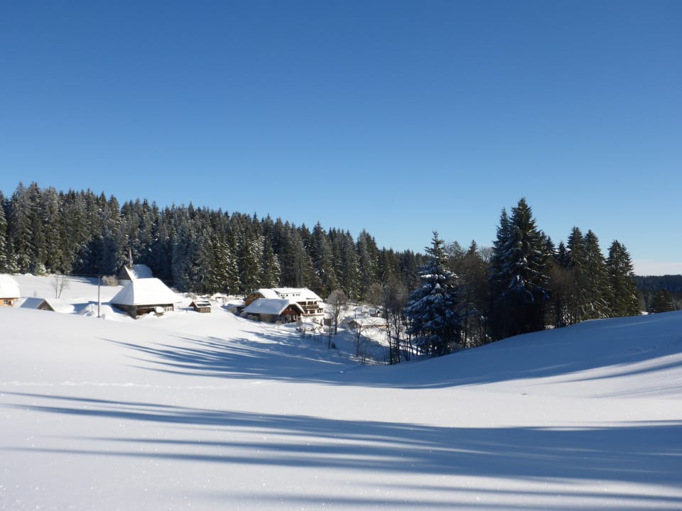Ausblick Gasthaus Kolmenhof an der Donauquelle