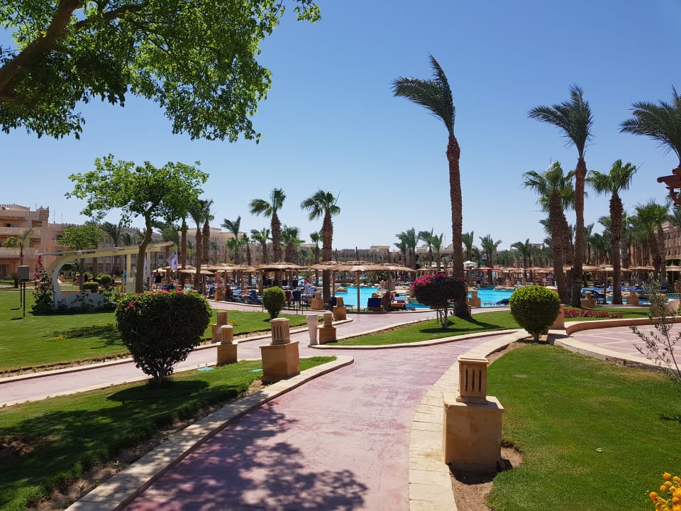 Gartenbllick  Pickalbatros Palace Resort