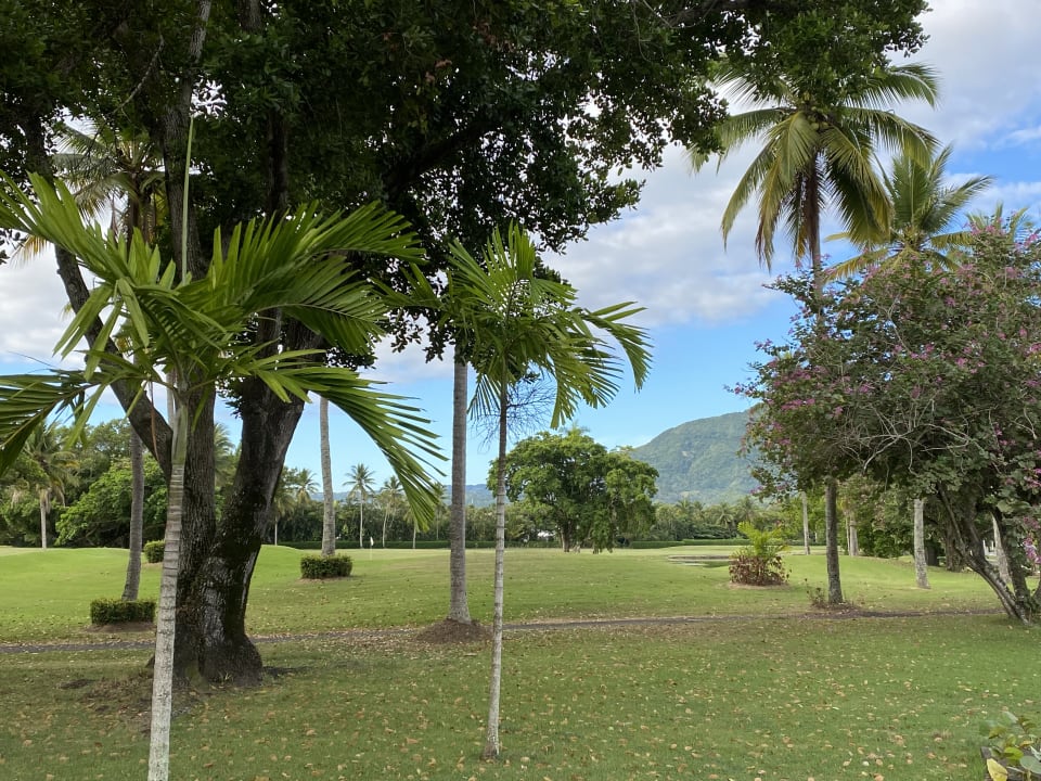 Gartenanlage Viva Heavens by Wyndham - All Inclusive Resort