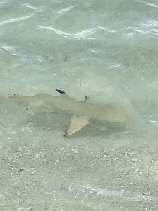 Strand Kuredu Island Resort & Spa