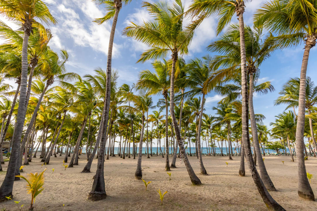 Strand Playabachata Hotel