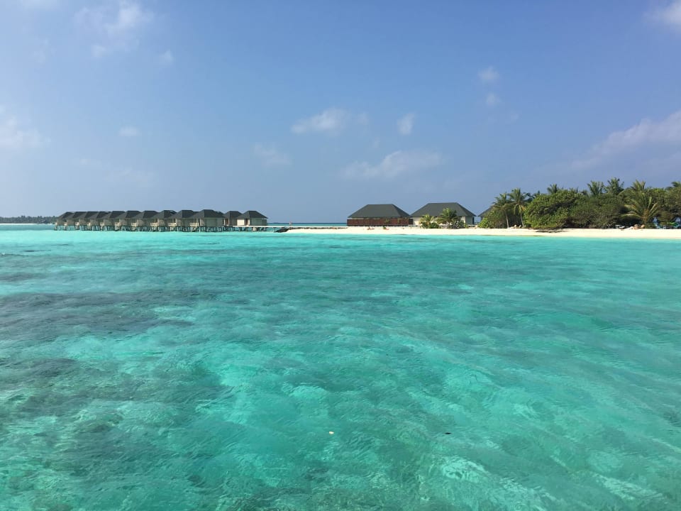Wasserbungalows  Summer Island Maldives