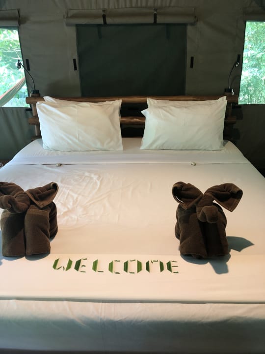 Zimmer Elephant Hills