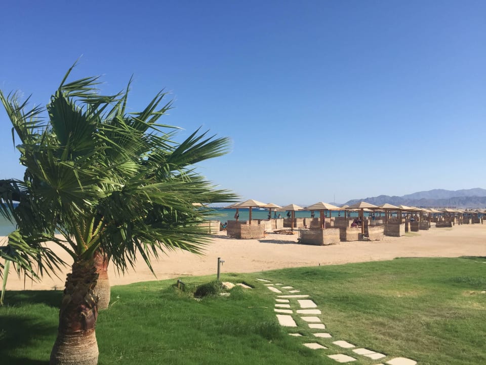 Keine 20 Meter vom Zimmer zum Strand Shams Prestige Abu Soma-Adults Only