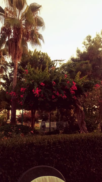 Gartenanlage Bella Resort & Spa