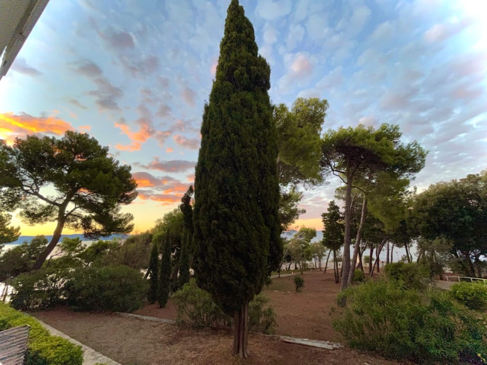 Gartenanlage Valamar Sanfior Hotel & Casa