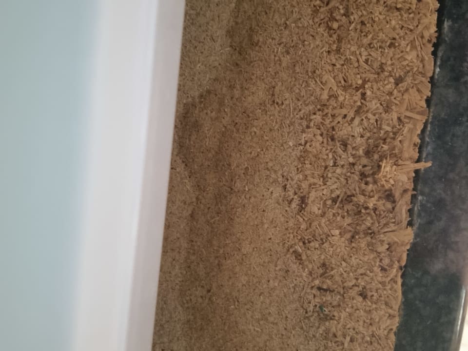 Zimmer Apartamentos Casablanca