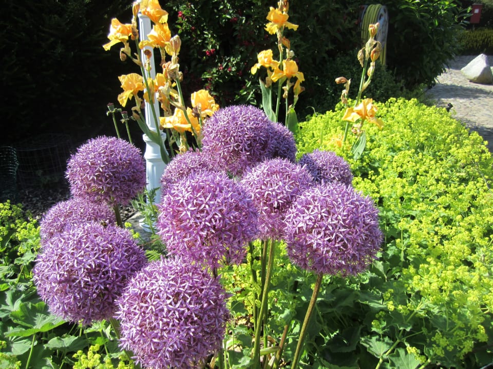 Gartenanlage Ferienbauernhof Liesenberg mit Meerblick