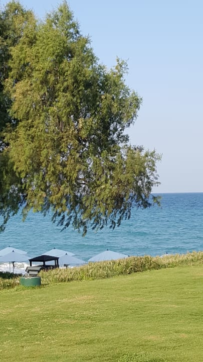 Gartenanlage Neptune Luxury Resort