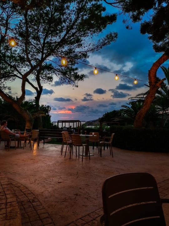 Gartenanlage Insotel Club Tarida Playa