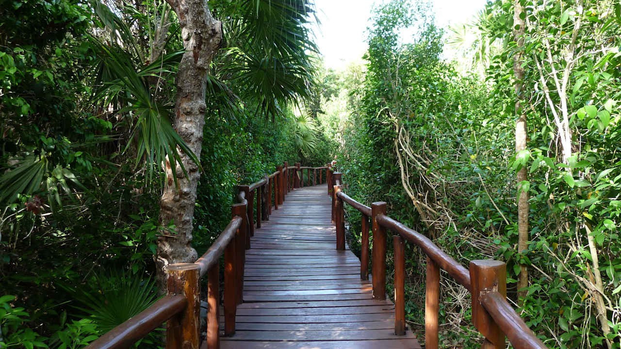 Regenwaldweg Grand Palladium Kantenah Resort & Spa