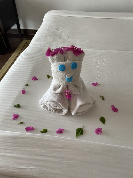 Zimmer Steigenberger Makadi Hotel - Adults only