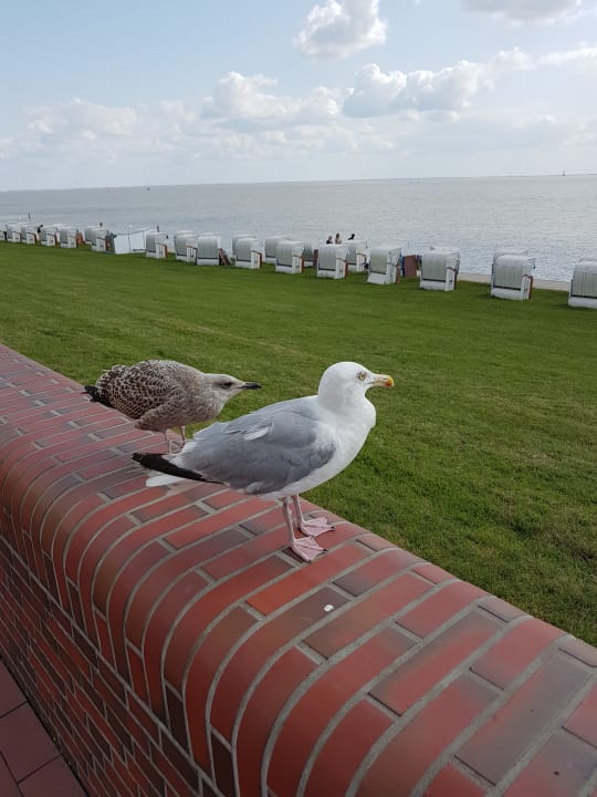Ausblick ATLANTIC Hotel Wilhelmshaven