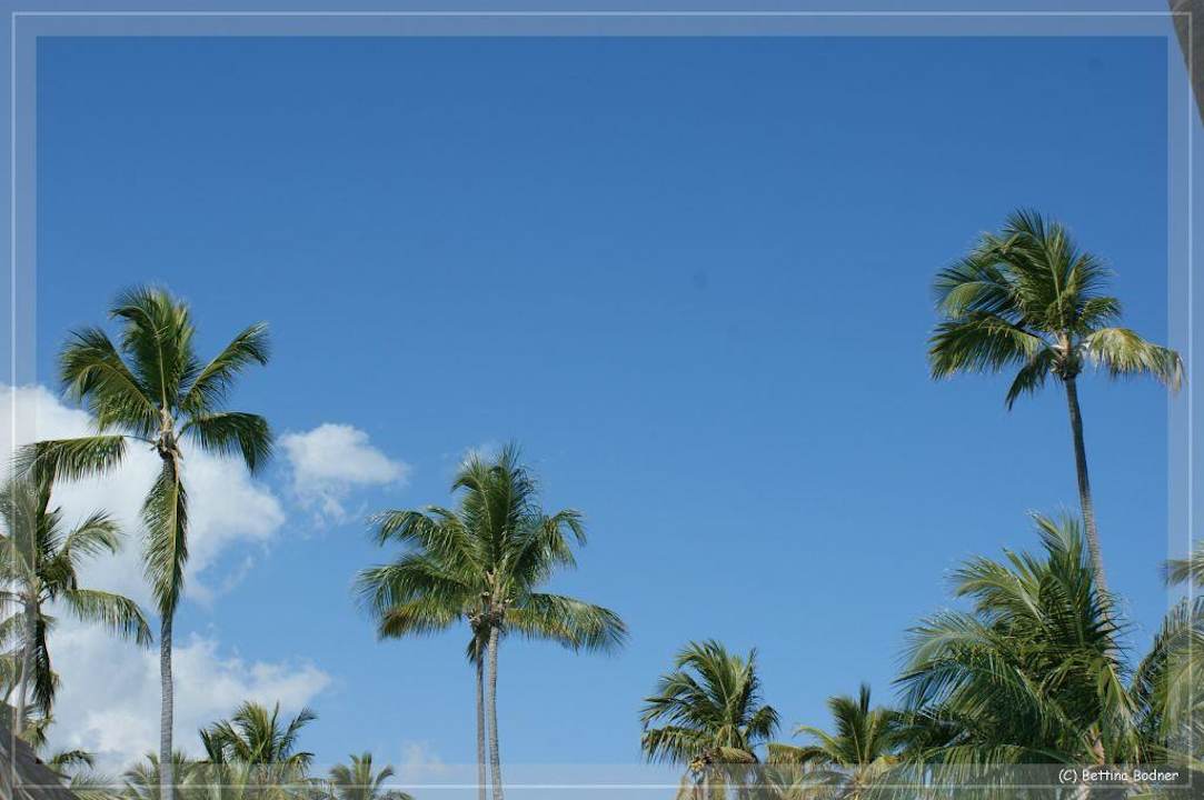 Palmengarten Hotel Grand Palladium Palace Resort, Spa & Casino